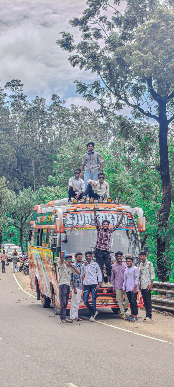 College group tour   forest road